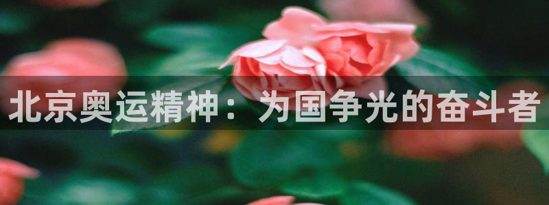 球速体育：北京奥运精神：为国争光的奋斗者