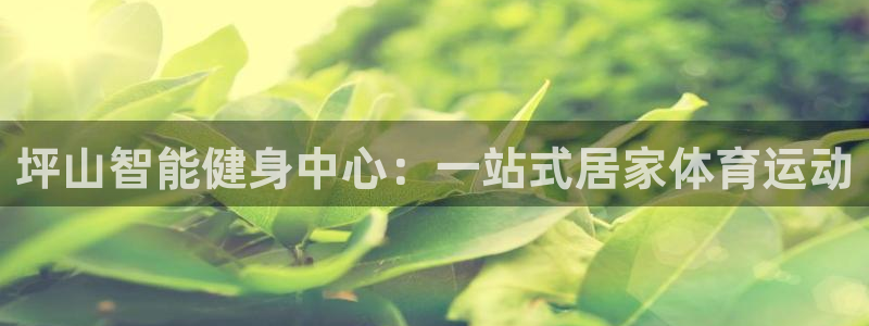 球速体育：坪山智能健身中心：一站式居家体育运动