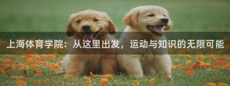 球速体育：上海体育学院：从这里出发，运动与知识的无限可能