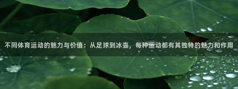 球速体育：不同体育运动的魅力与价值：从足球到冰壶，每种运动都有其独特的魅力和作用