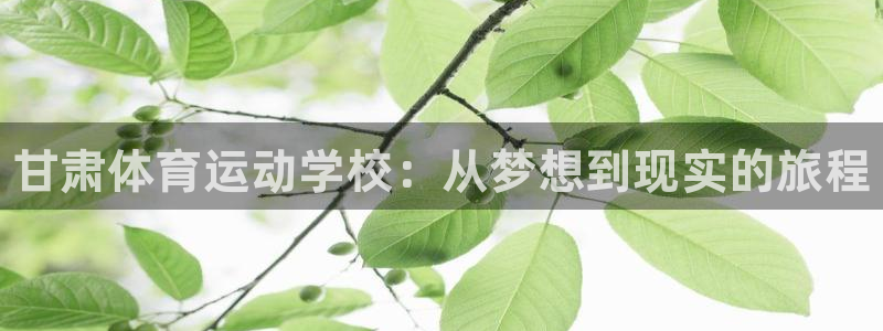 球速体育：甘肃体育运动学校：从梦想到现实的旅程